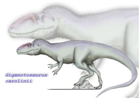 10 Facts About Giganotosaurus
