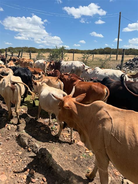 kenzie vaughn (@makenziekvaughn) • Instagram photos and videos