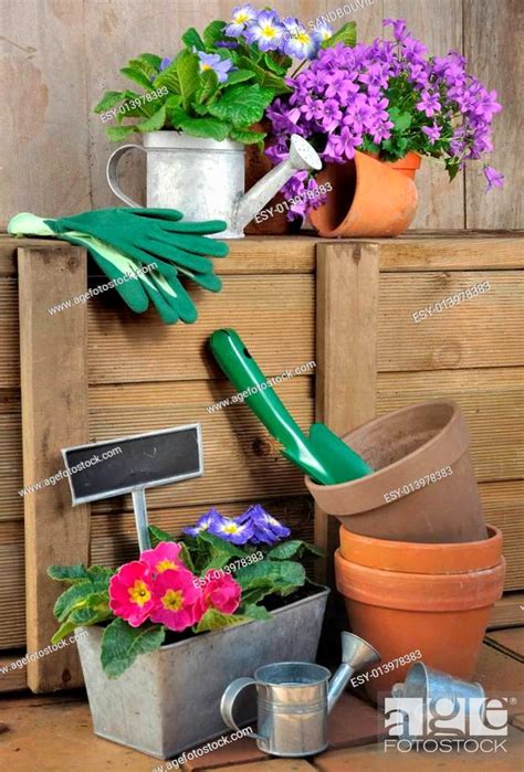 gardening accessories, Stock Photo, Picture And Low Budget Royalty Free ...