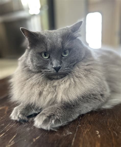 Donut Operator 🍩 on Twitter: "@heatherlynnoh https://t.co/x93iNpItx7