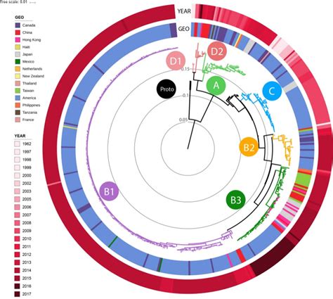 Molecular epidemiological study of enterovirus D68 in hospitalised ...