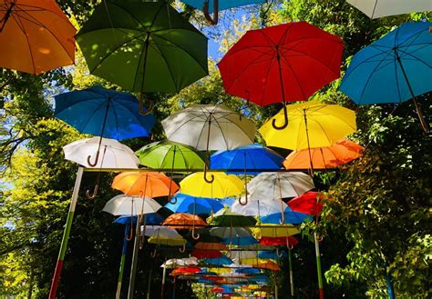 Things to do and discover in Silistra - the apricot paradise of Bulgaria