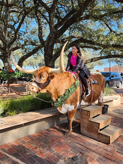 Next Level Window Tint | Houston TX