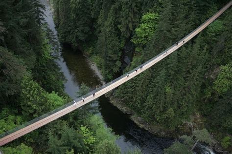 Capilano Suspension Bridge Park Ticket 2024 - Vancouver