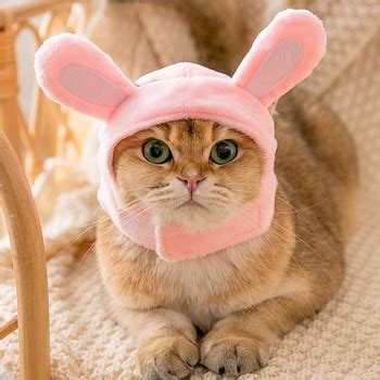 Badu.bg Забавна шапка за котка Плюшена рокля Костюм Шапка за домашен ...