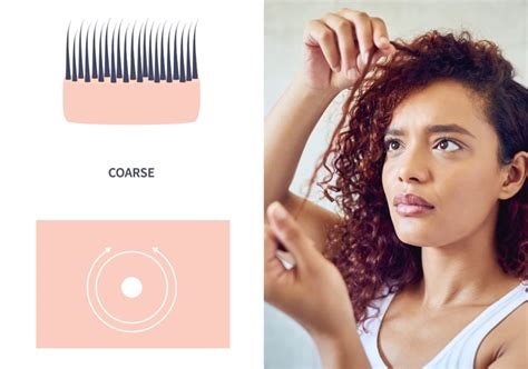 Fine Hair vs. Coarse Hair: How To Tell the Difference