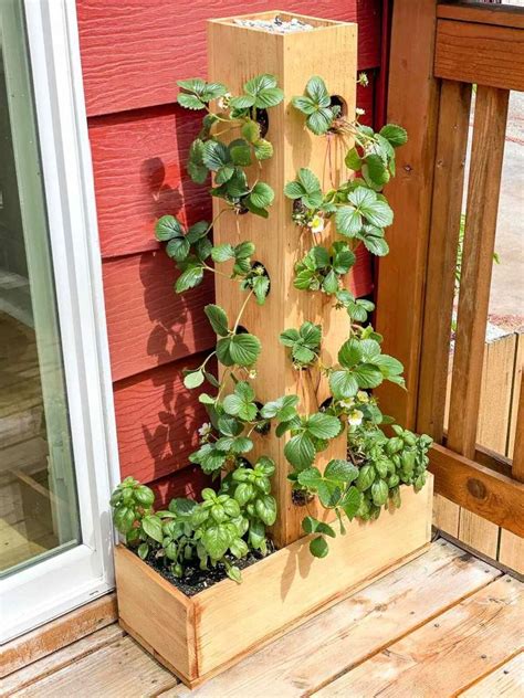 DIY Strawberry Planter: A Quick & Easy Guide