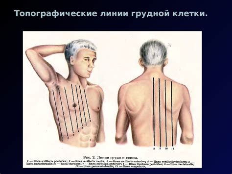 Симптомы и синдромы при заболеваниях легких. Осмотр, пальпация ...