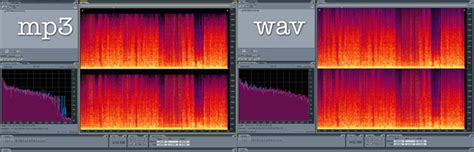 lossless audio  important