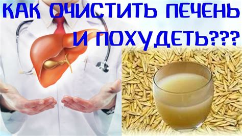 ОВСЯНЫЙ ОТВАР. Как заваривать овес для печени. Рецепт#DomSovetov - YouTube