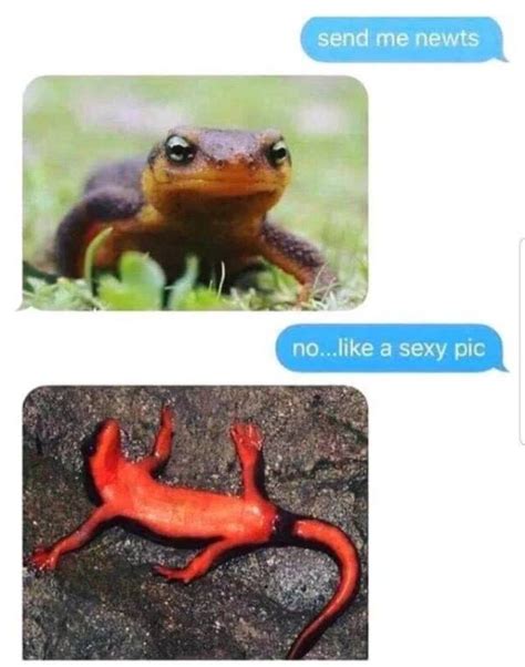 Stupid Humor Is The Best Humor (29 PICS) - Izismile.com