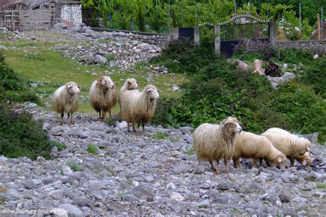 Photos of Bogë, Albania – Travel blog "Journey Stories"