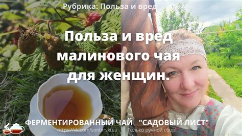 Польза и вред малинового чая для женского здоровья - YouTube