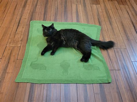 My 11 month old kitten had to test out the kitten themed baby blanket I