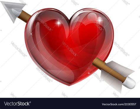 shot   heart royalty  vector image