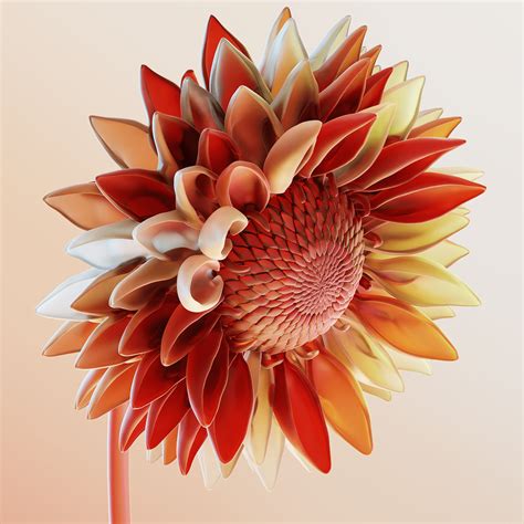 Lollo Rosso on Behance
