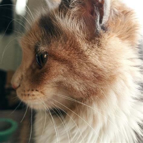 Hello everyone! I'm here to show off my profile baby, tell me, isn't