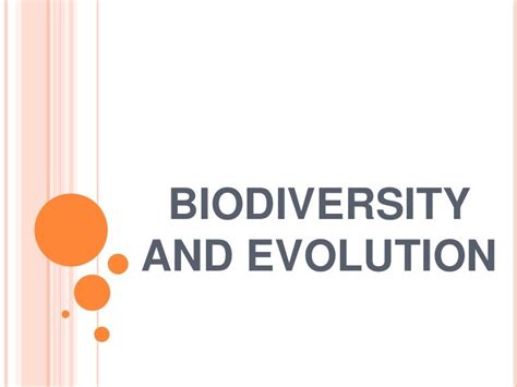 Biodiversity and evolution