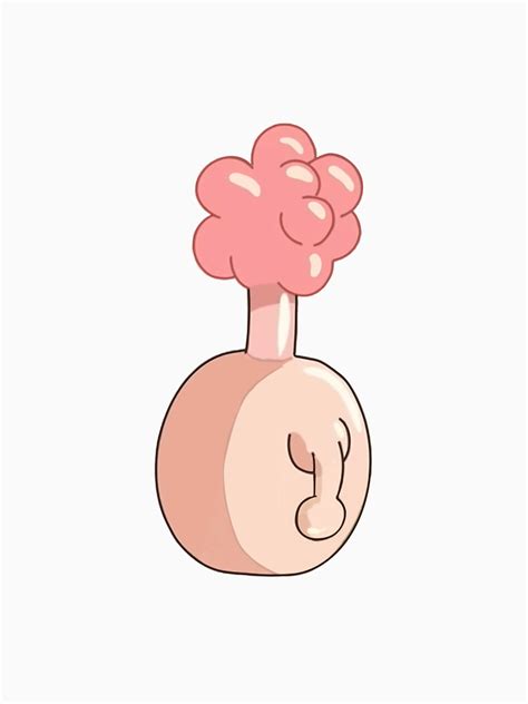 parts of a plumbus Diagram | Quizlet