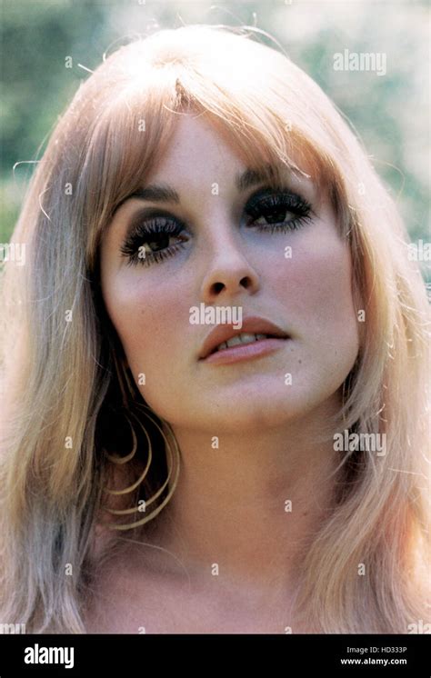 Sharon Tate, 1960s Stock Photo - Alamy