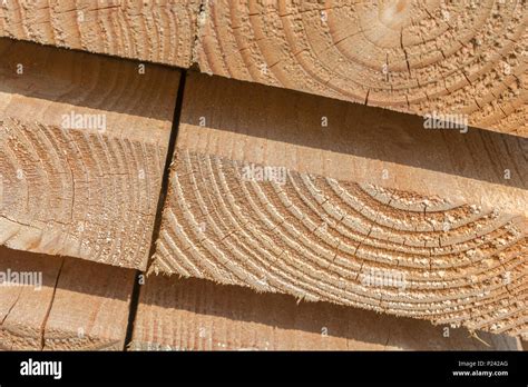 cross sectioned wood  res stock photography  images alamy