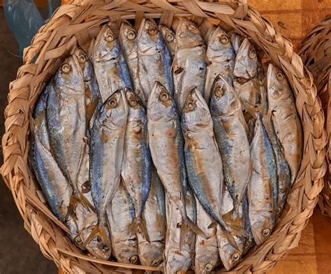 The Mystery of 153 Fish: A Divine Message Revealed — Living a Fruitful Life