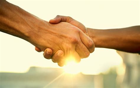 Peace Is More Than War's Absence, and New Research Explains How to ...