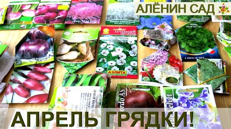 ЧТО ПОСЕЯТЬ В АПРЕЛЕ НА ГРЯДКИ? Сеем сразу на грядки без рассады! - YouTube
