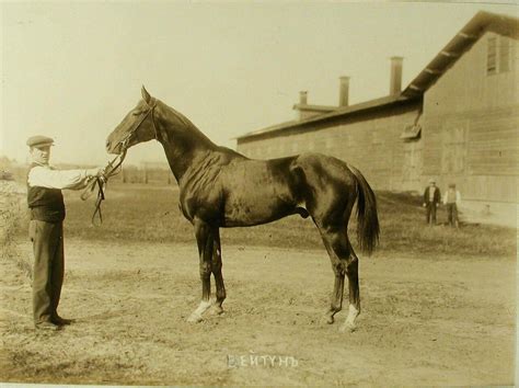 Императорское Московское скаковое общество. Скачки. 1912: humus ...