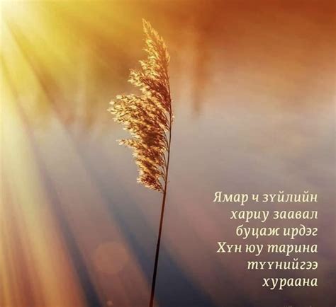 J Shop - Гэгээн өглөөний мэнд☀️ Хүмүүн та юу тарина,... | Facebook