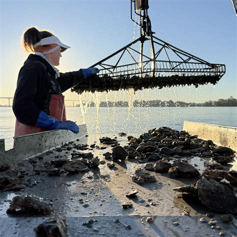 Crystal Jordan... - Calvert County Watermen's Association | Facebook