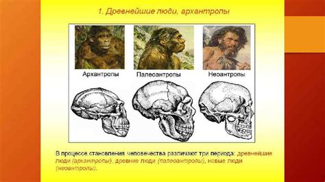 Первобытные собиратели и охотники Древнейшие люди Внешность