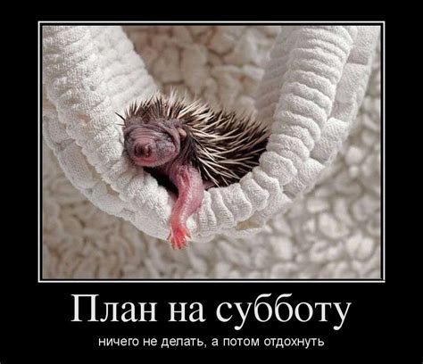 Картинки про Субботу прикольные