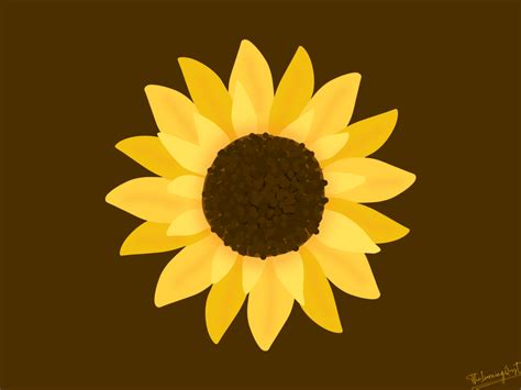 The Fibonacci Sequence in Nature – Exploring Everyday Magic