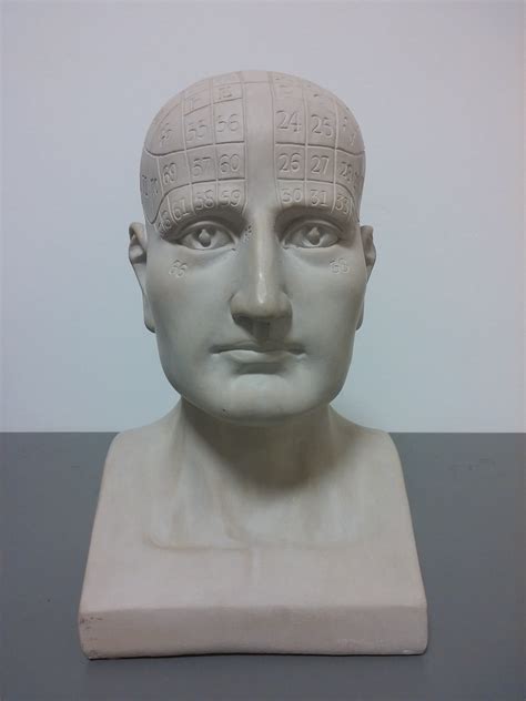 Phrenology Head? | Antiques Board