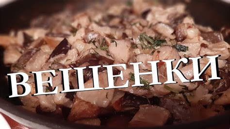 Вешенки в сметане. Проще простого. - YouTube