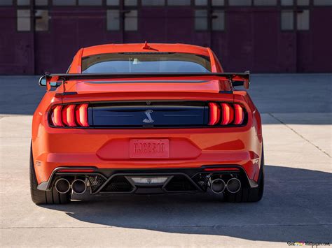Shelby Mustang Rear View