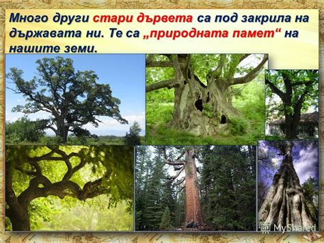 Презентация на тему: "Природата на България е уникална със своето ...