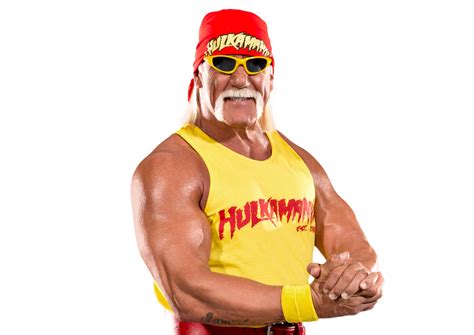 Wwe Hulk Hogan