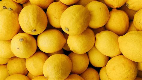 Citrus - | The Kentish Botanical Co. | Kent