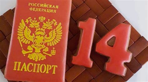 Как получить паспорт в 14 лет? | Портал ДНР