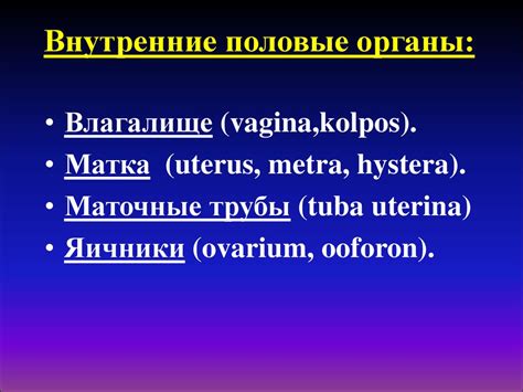 Репродуктивная система мужчины и женщины в зрелом возрасте ...