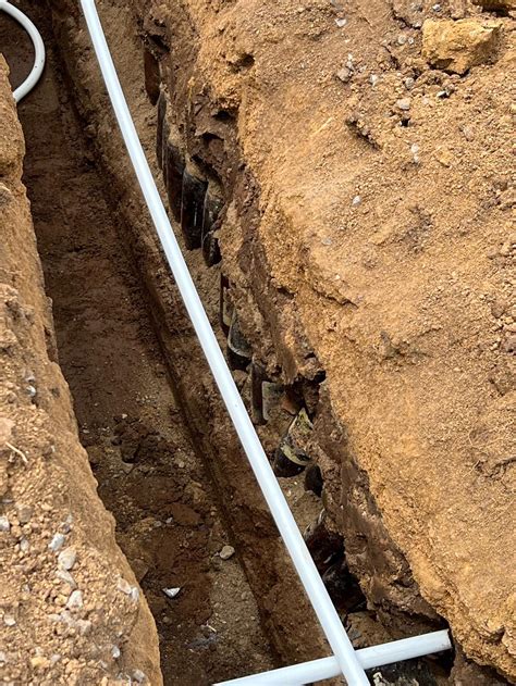 This man built his shed to accommodate the trees : r/interestingasfuck