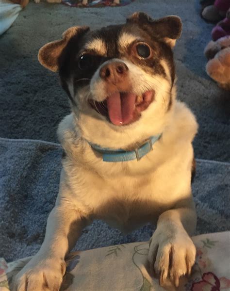 (OP) “That sammich much sure looks yummy mama ” ・ popular.pics ・ Viewer