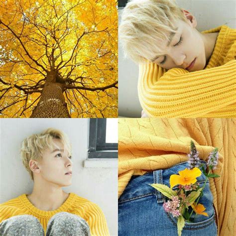 Pin de zaain em × SEVENTEEN ×