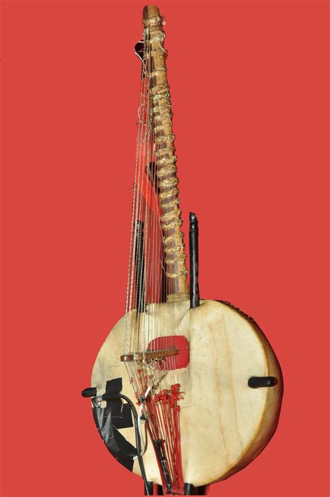 Getting to Know the World Through Music: The Kora: Western Africa's ...