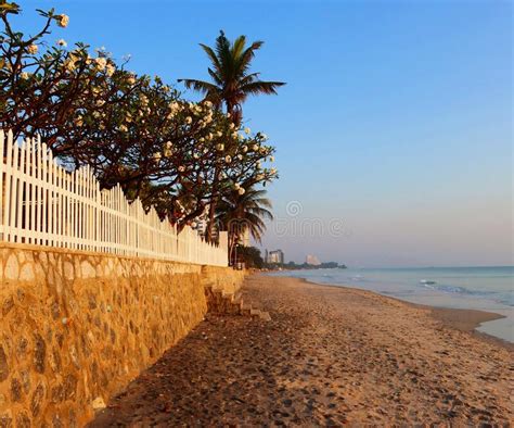 On the Beach of Hua Hin. Hua Hin Resort. Stock Image - Image of resort ...