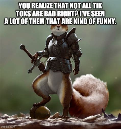Ready Squirrel Memes - Imgflip