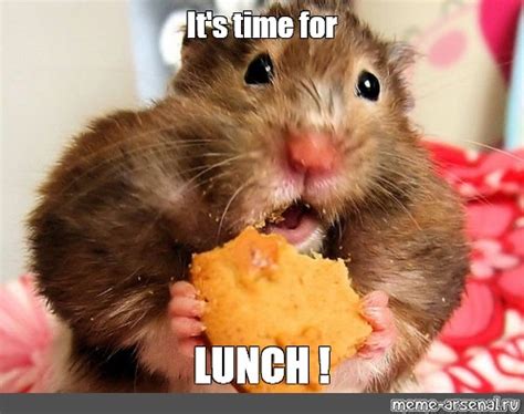 Meme: "It's time for LUNCH !" - All Templates - Meme-arsenal.com
