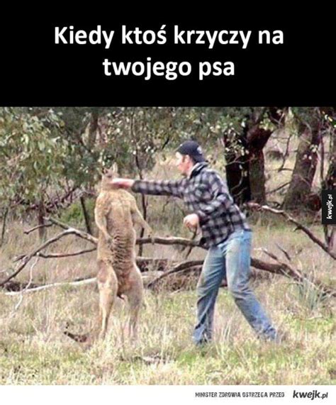 Krzycz - Najlepsze memy, zdjęcia, gify i obrazki - KWEJK.pl